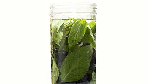 Blueberry and Basil Infusion